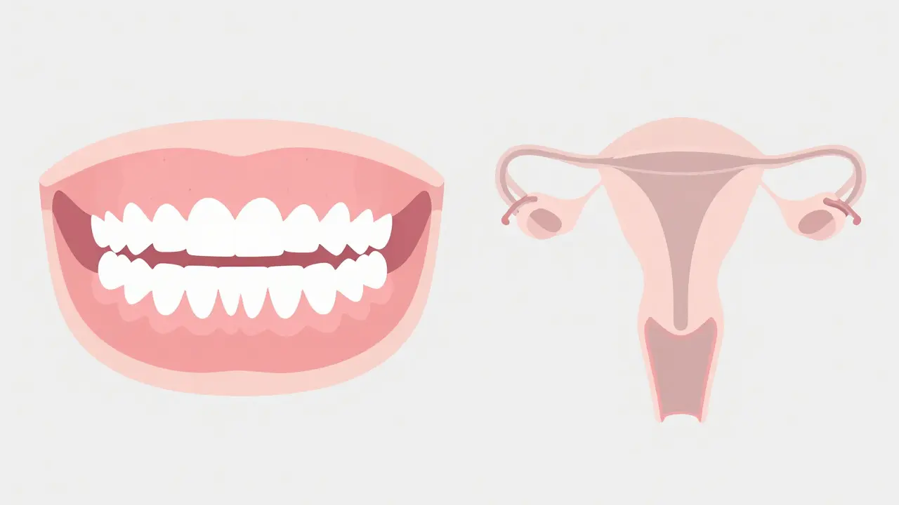 Ilustrace oddělující stomatologii od gynekologie pro vyvrácení mýtu
